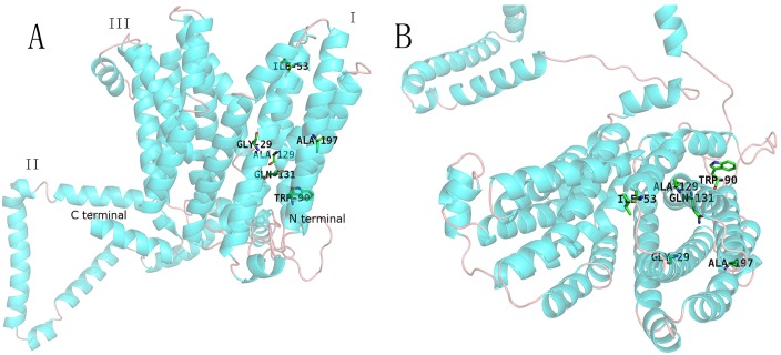 Fig 3