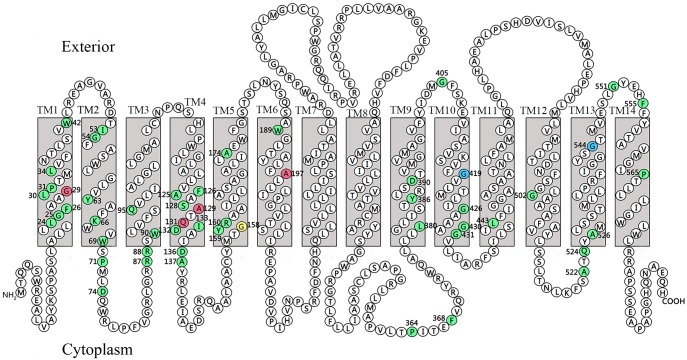 Fig 2