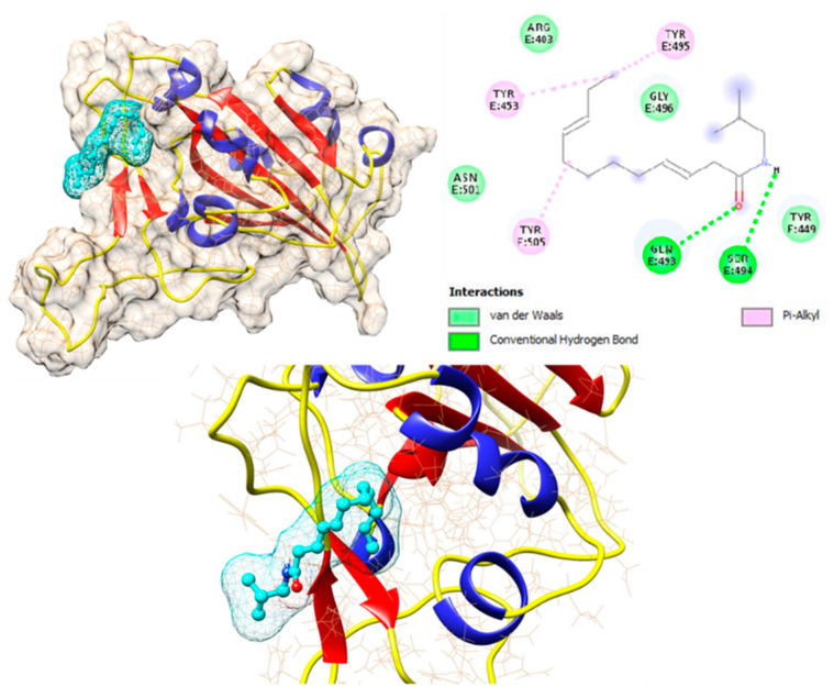 Figure 5