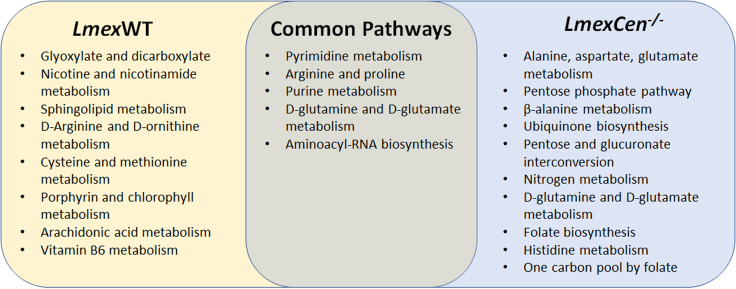 Figure 6