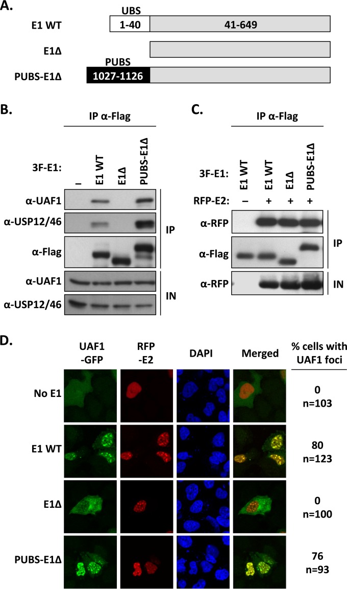 FIG 4