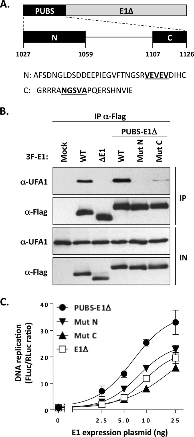 FIG 6