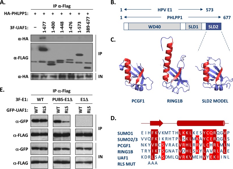 FIG 8