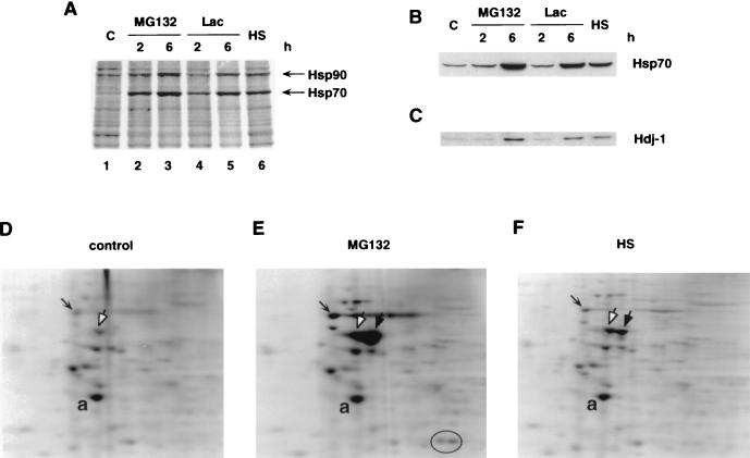 FIG. 7