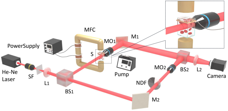 Fig. 1.