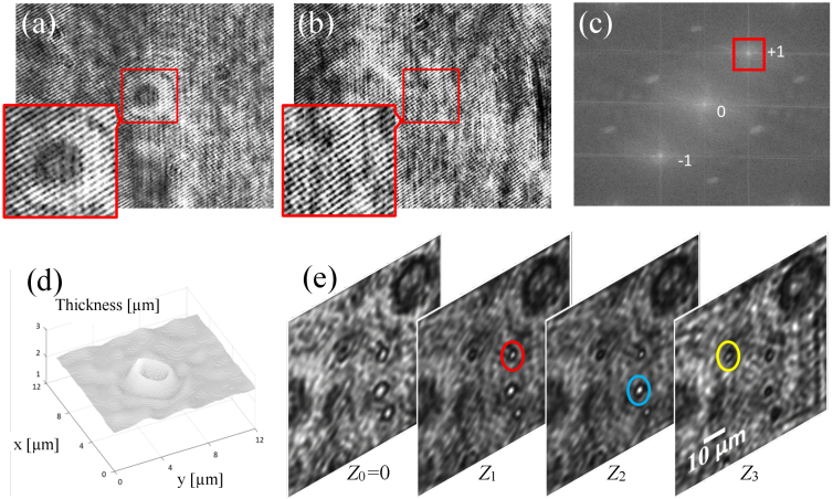 Fig. 2.