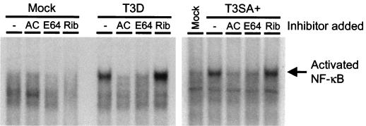 FIG. 5.