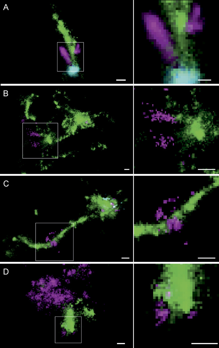 Figure 6.