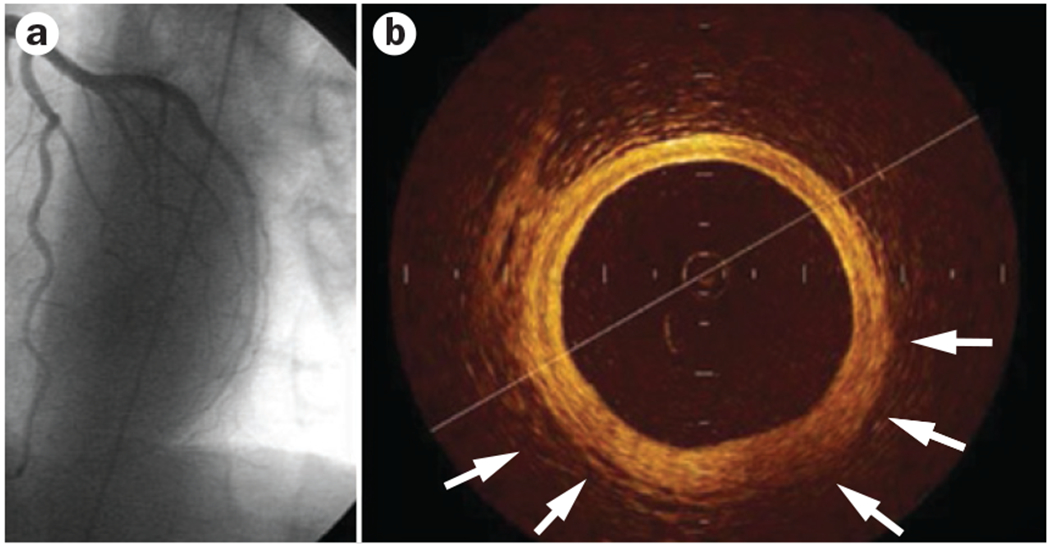 Figure 3 |