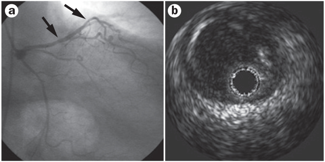 Figure 2 |