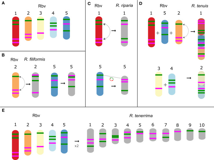 Figure 4