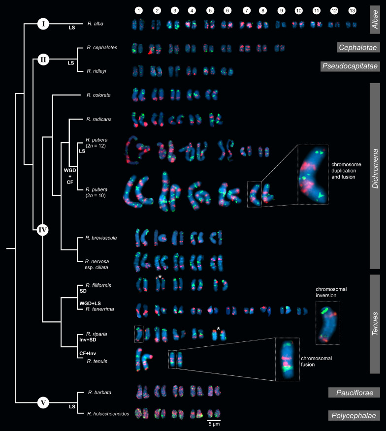 Figure 2