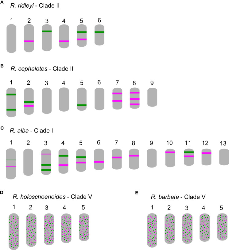 Figure 5