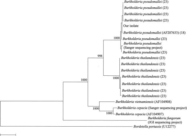 FIG. 2.