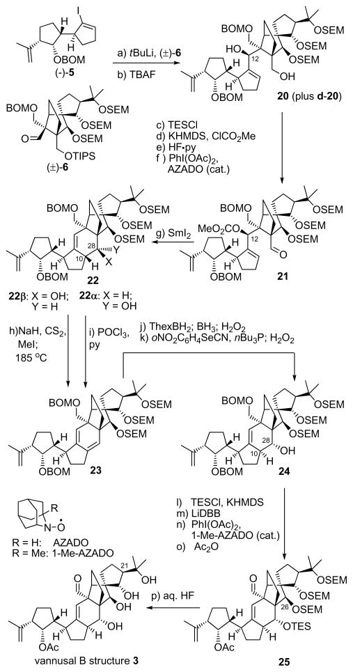 Scheme 3