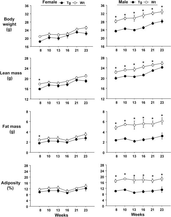 Figure 2.