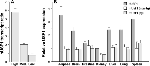 Figure 1.