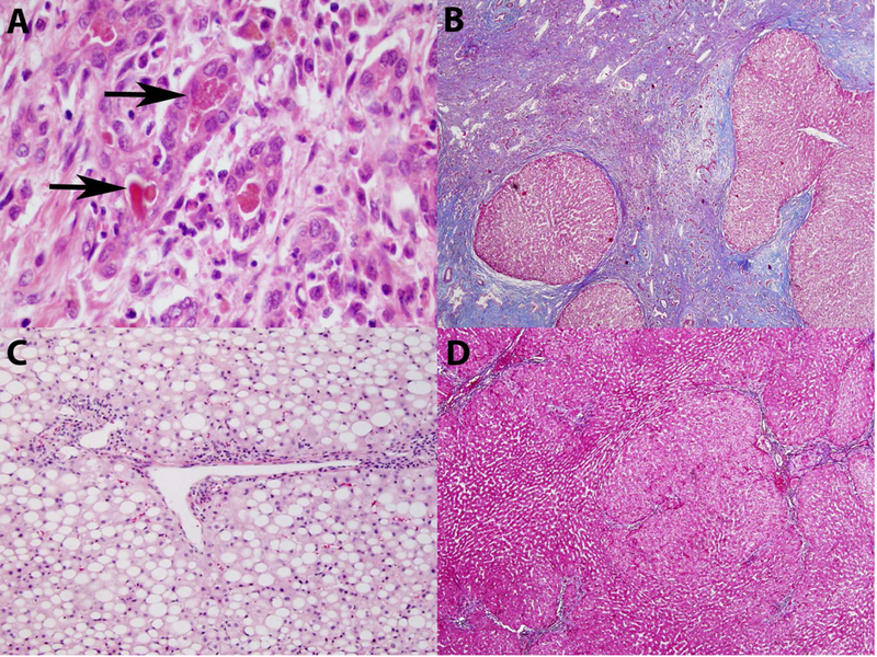 Figure 2: