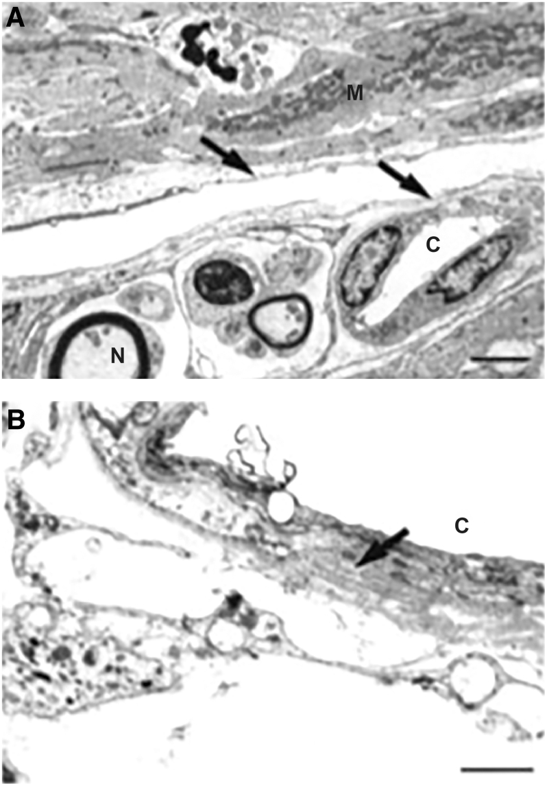 FIG. 5.