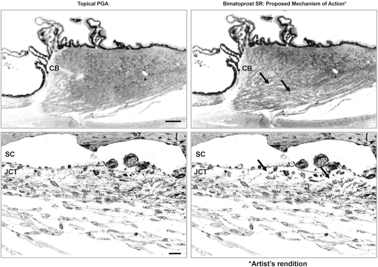 FIG. 12.