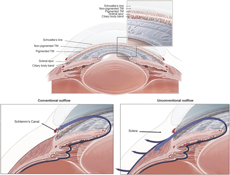 FIG. 2.