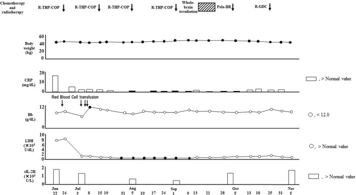 FIGURE 4