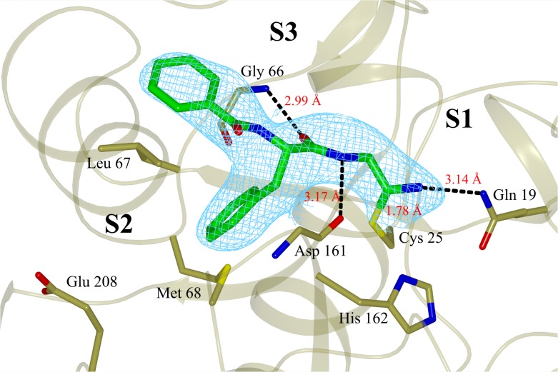 Fig 5