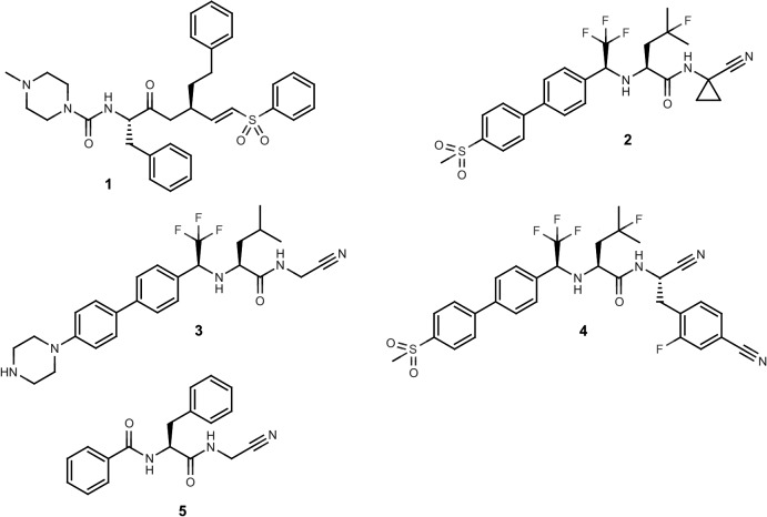 Fig 1