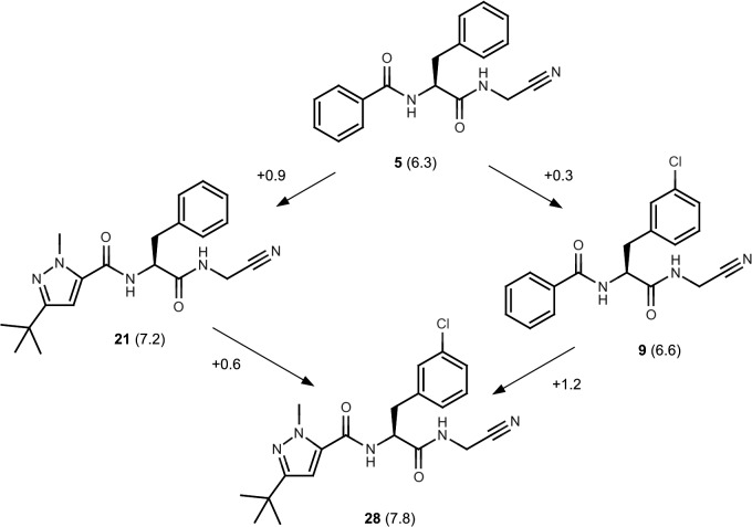 Fig 4