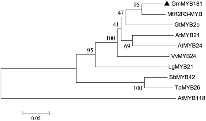 FIGURE 3