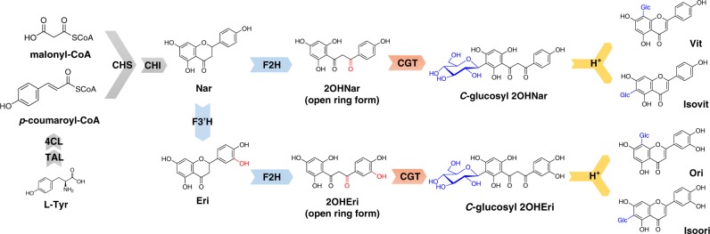 Fig. 1