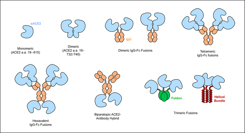 Figure 5.