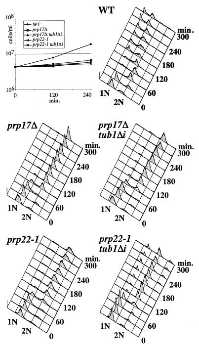 FIG. 6.