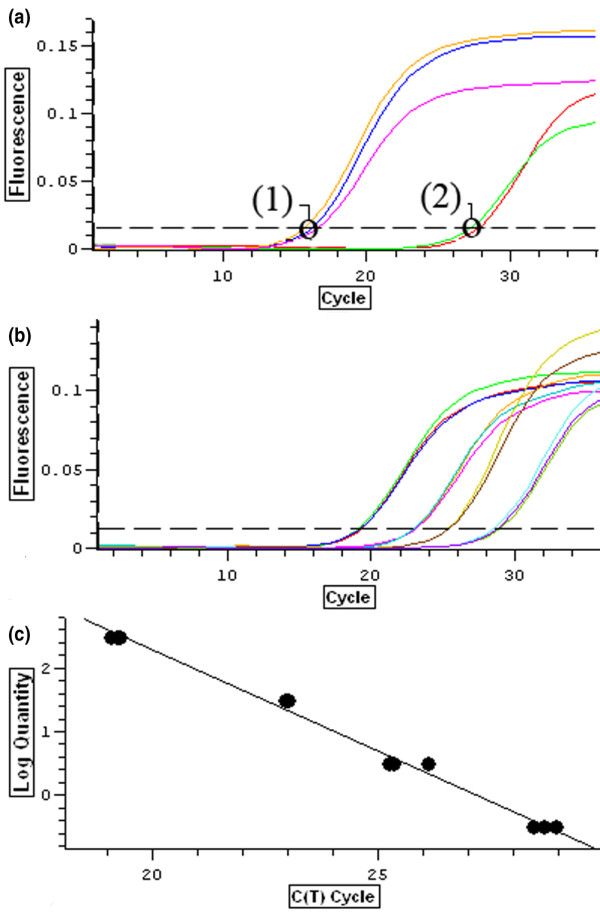 Figure 8