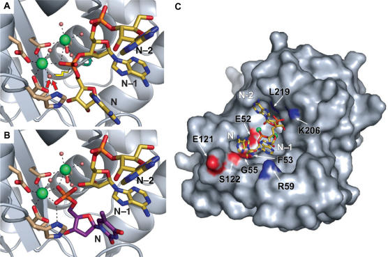 Figure 3.