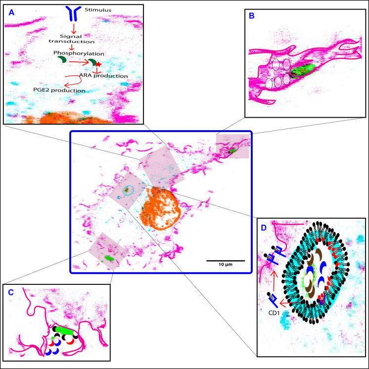 FIGURE 3