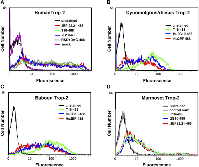 FIGURE 3