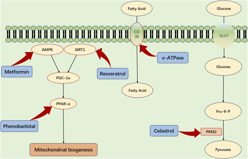 FIGURE 3