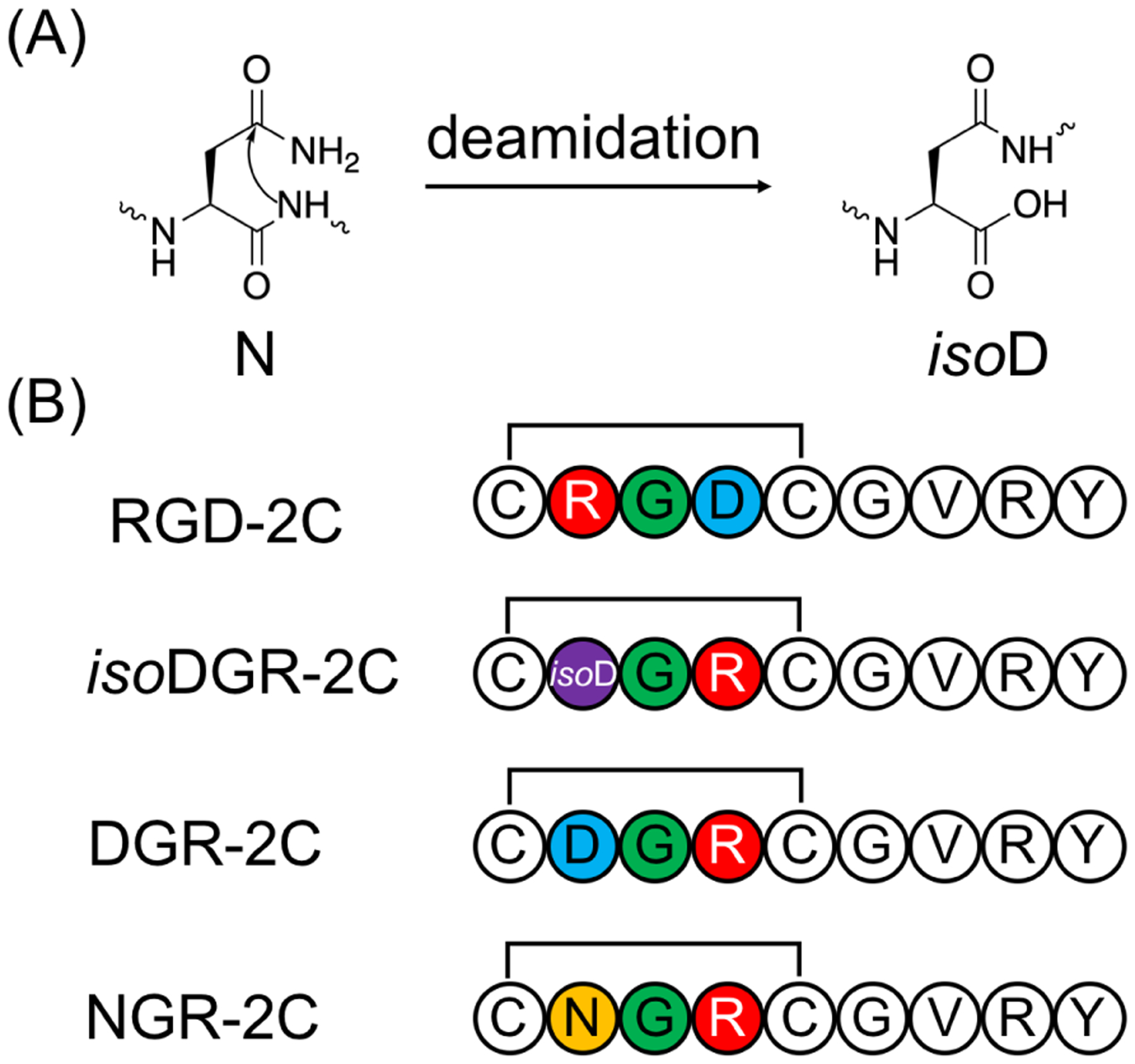 Figure 25.