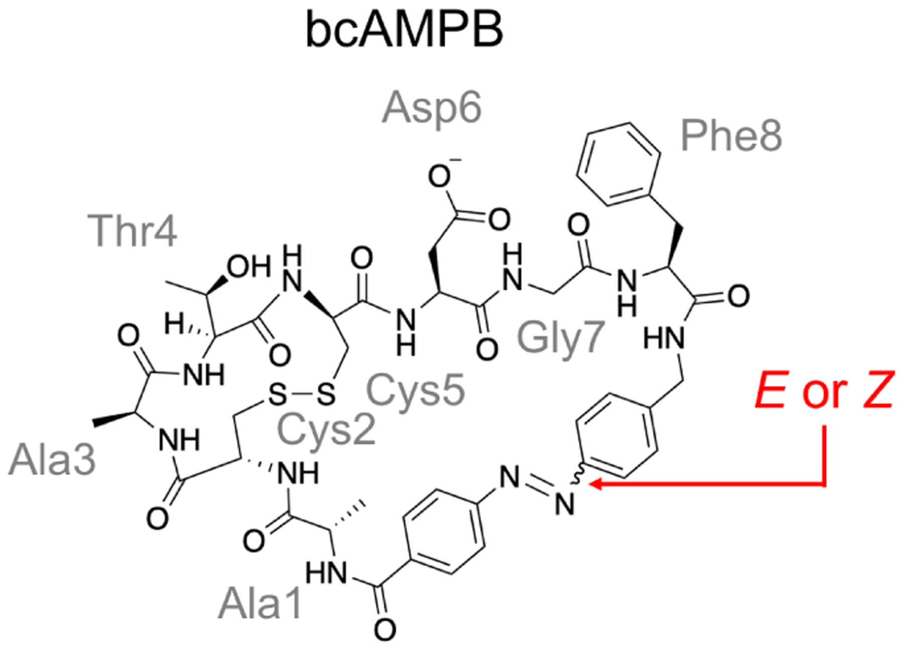 Figure 22.