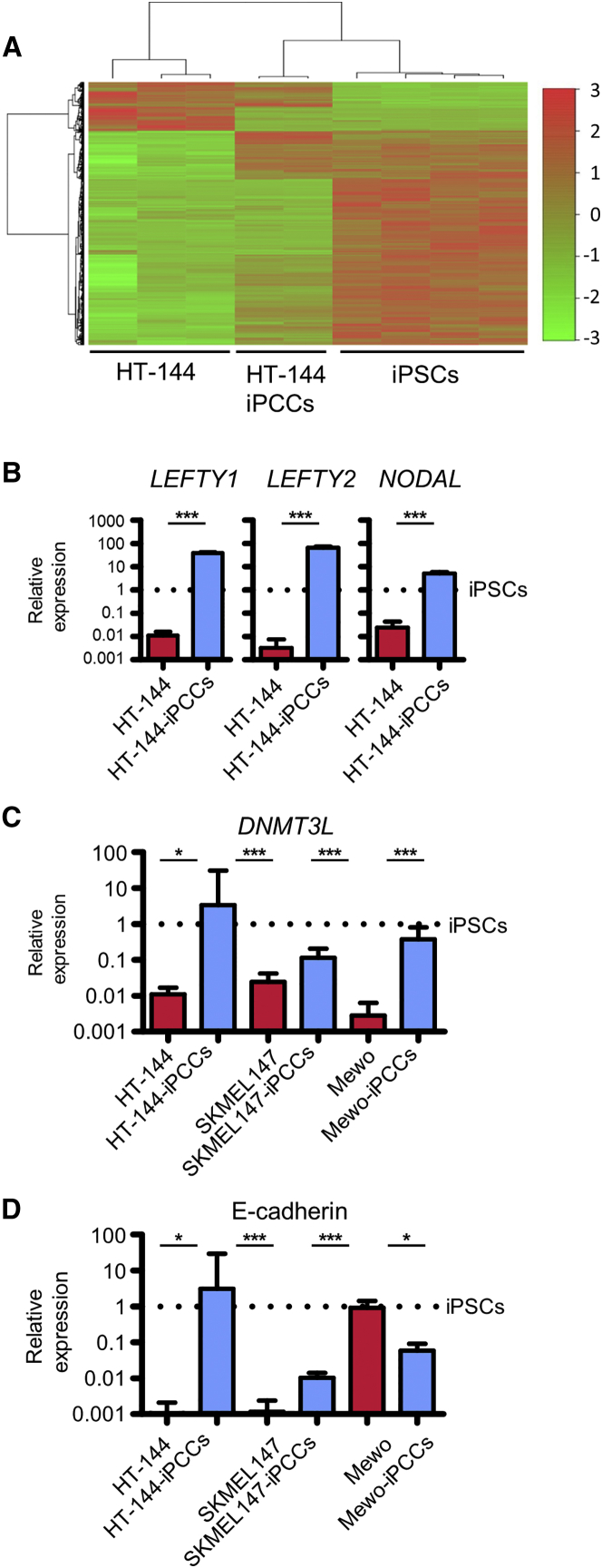 Figure 2