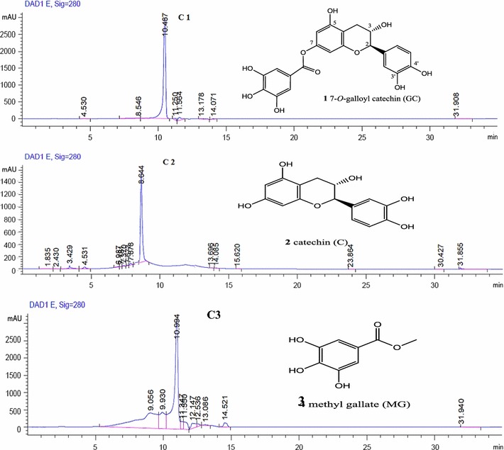 Fig. 2