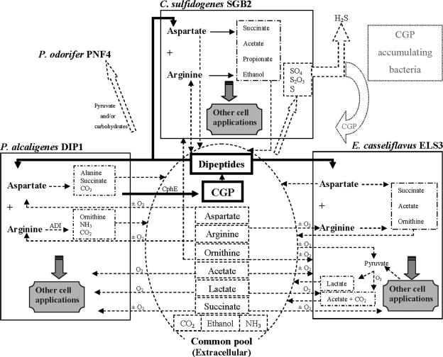 FIG. 7.