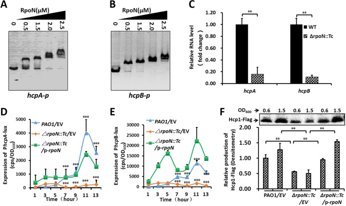 FIG 6