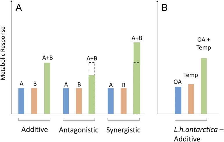 Figure 6: