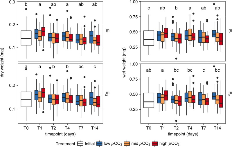 Figure 5: