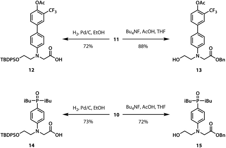 Scheme 2