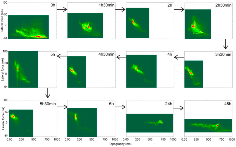 Figure 7