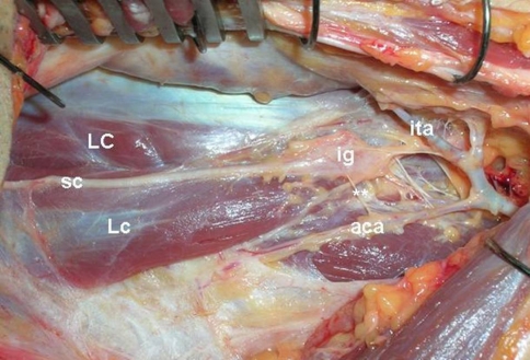 Fig. 2