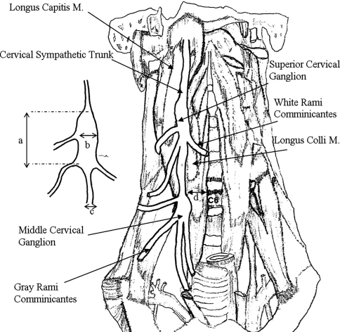 Fig. 5